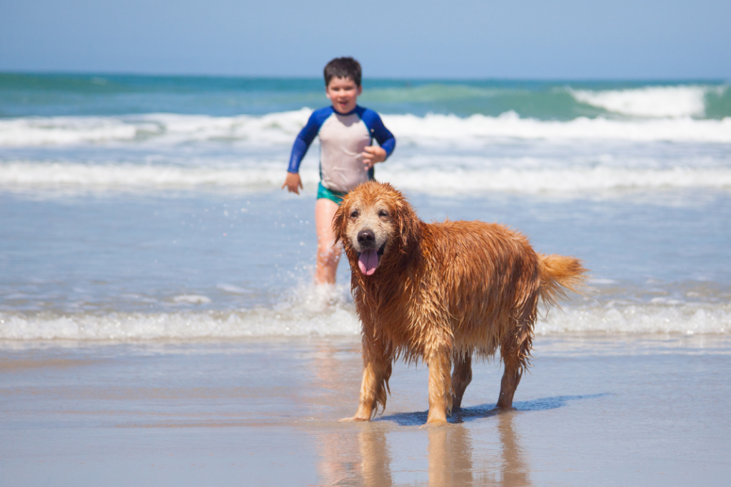 playas para perros en España
