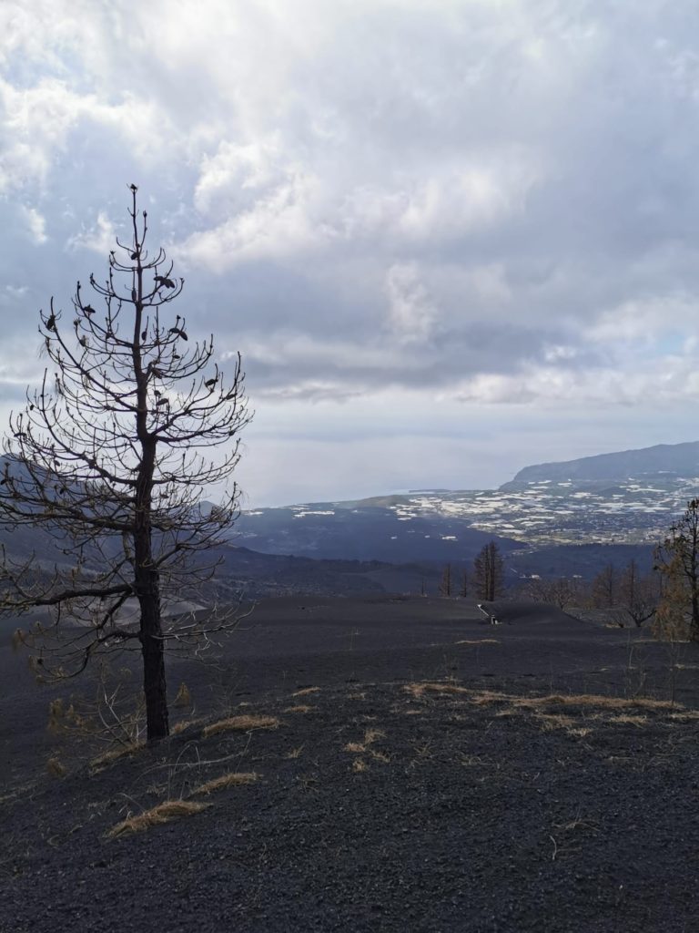 visitar el volcán de La Palma