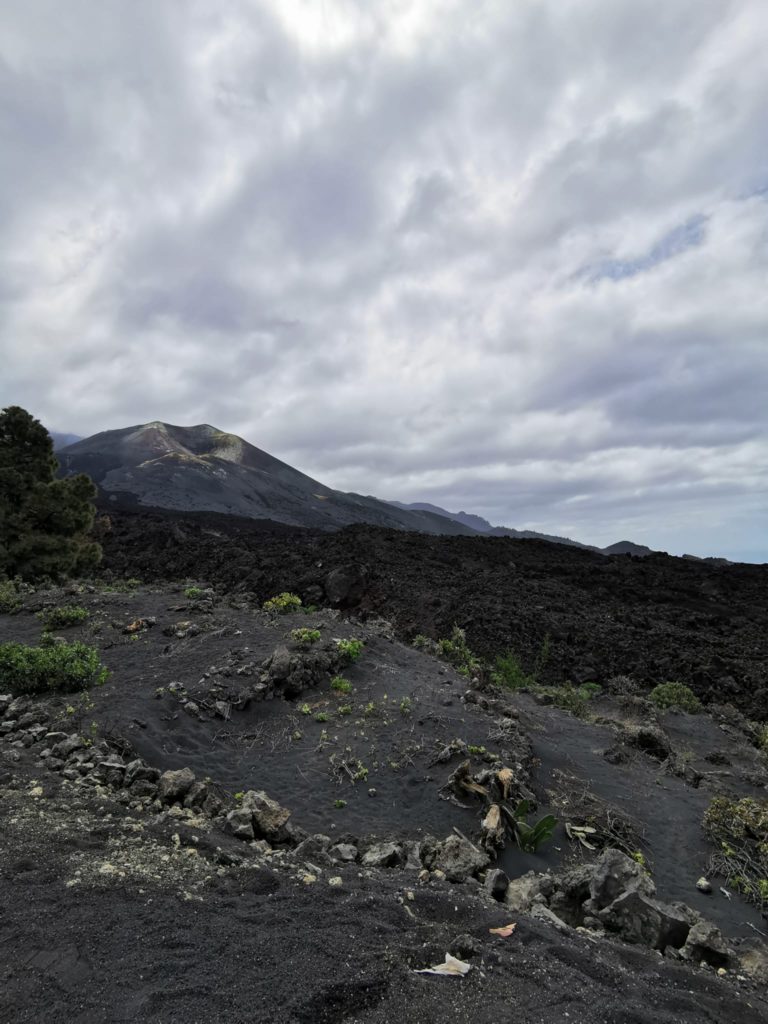 visitar el volcán de La Palma