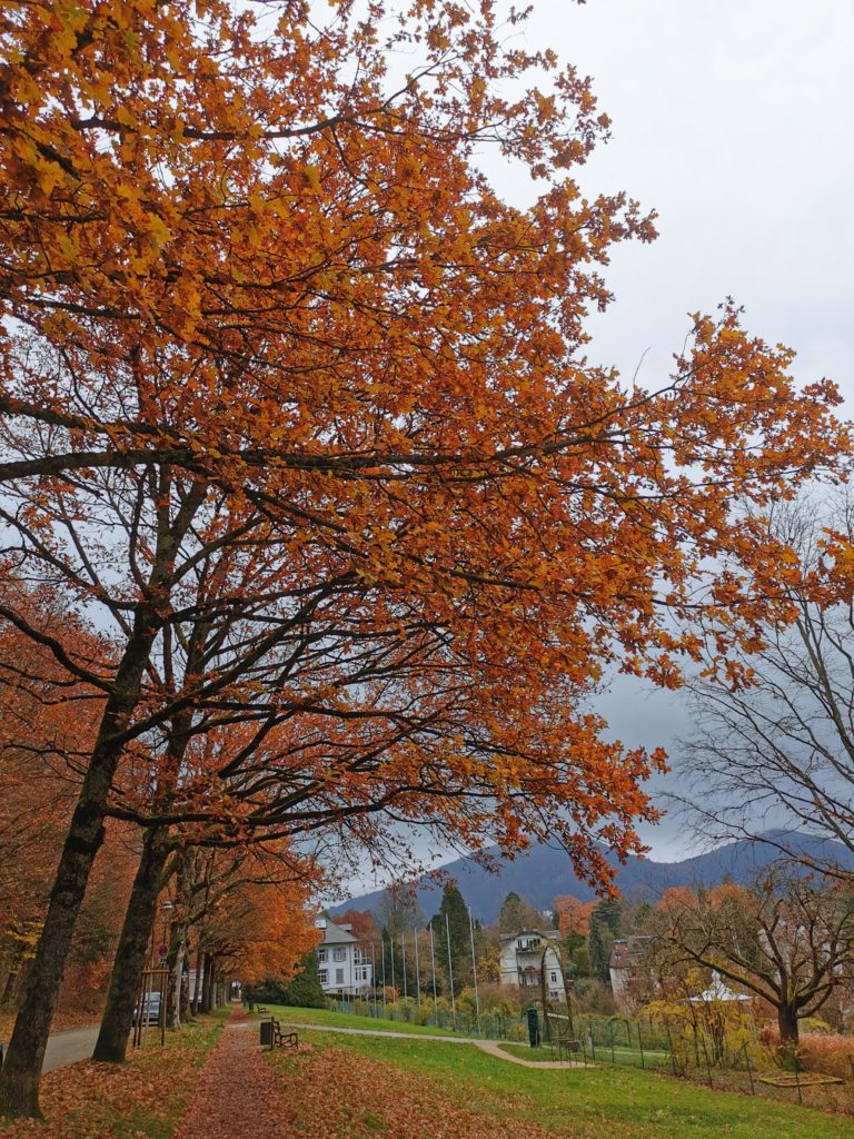 Baden-Baden en otoño